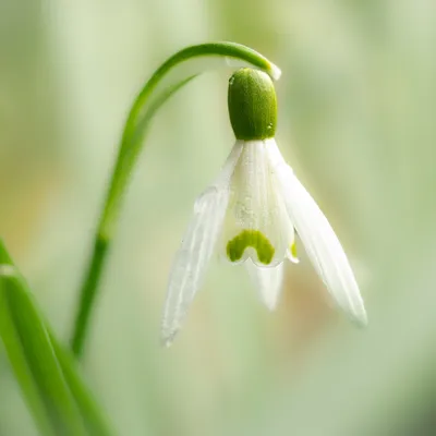 85D958C5 E259 4D1C 9BF1 B48F50415F4A