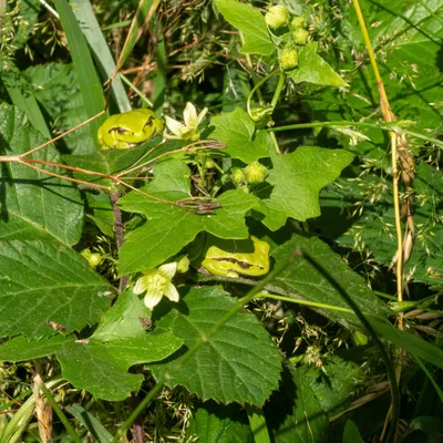 97265856 7D65 42D6 94C3 F36FD6E7EA81