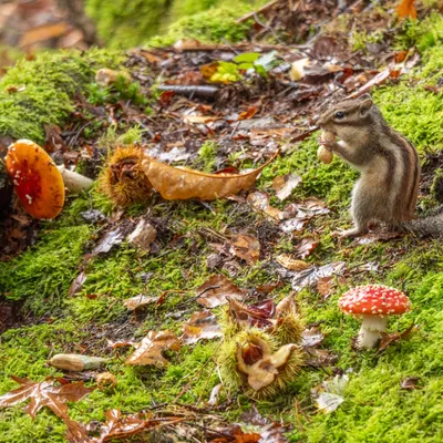 982432DC E8B7 4575 B6AE E32E165EFC3A