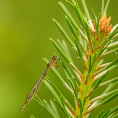 990BA255 7365 43C7 B35C 7F844A0B5EDF