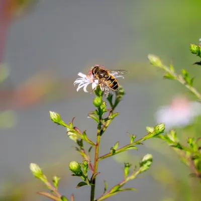 9A4A0259 5BFD 4E50 BF8F B6B63872DEE7