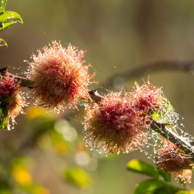 9C1FF1C1 EAF3 47AA AE1E A30C176FC4B3