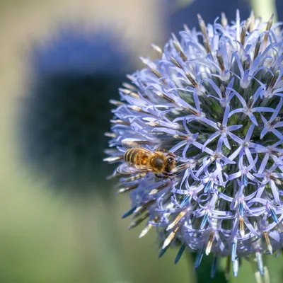 9E9EF4DB E8F2 42AC 9698 1F689DB0B83B