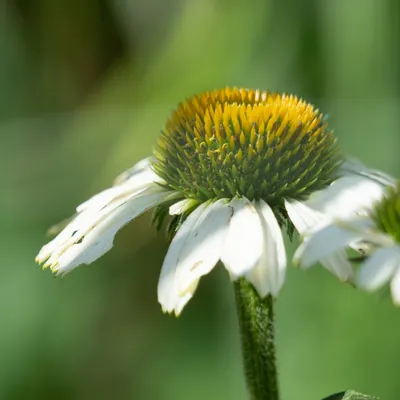 A16F3177 0DBC 4D1F B815 79648CFE949A