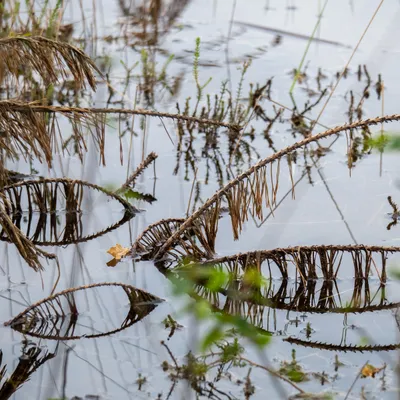 A1AD81A5 601D 4AC1 A70F B02419A1147A