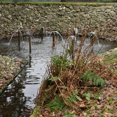 Ab van der Meij 2023 12 17dec Kroondomein HetLoo 4571