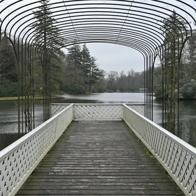 Ab van der Meij 2023 12 17dec Kroondomein HetLoo 4595