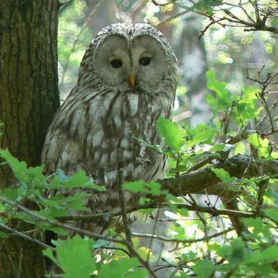 aP1020587 bewerktkopie