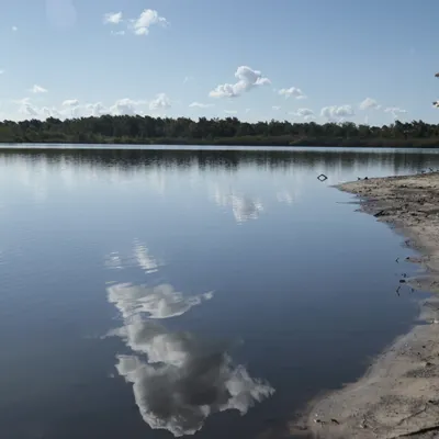 Belsversven 240825 Oisterwijk 48A1323