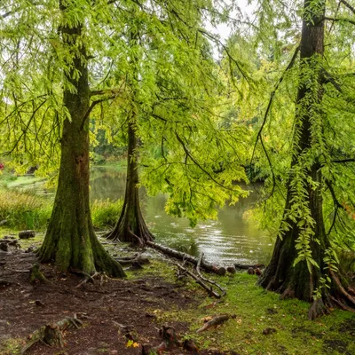 C3812FAE 1681 4397 9C2E EC269717D8CD