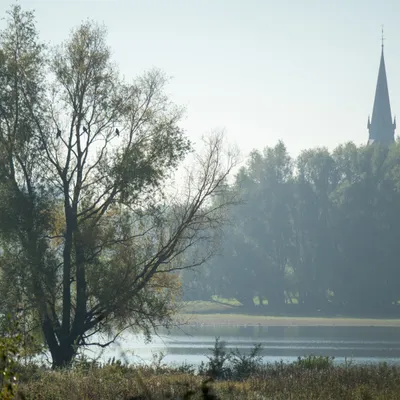 C5A10B96 0D11 4A46 8FD2 136F8219AE52