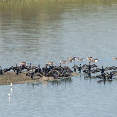 C60C38EE 10D8 442E A7F2 8C4200436A15 1 201 a