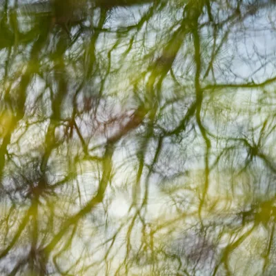 C9BCA8C3 F3A9 451F AF3D 07DE523867B4