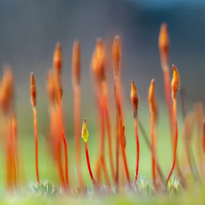 D5844BCC 18AA 4E32 AF46 B2769BBEADEF