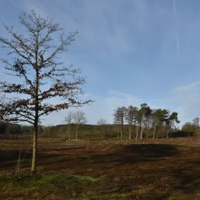 DSC 0170 HatertseVennen003a