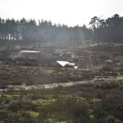 DSC 0175 HatertseVennen004a