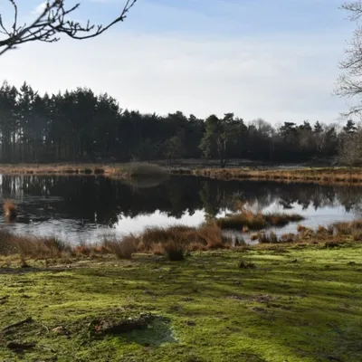 DSC 0184 HatertseVennen010a