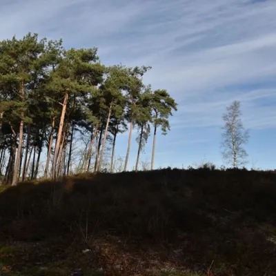 DSC 0193 HatertseVennen014a