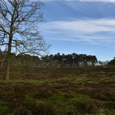 DSC 0207 HatertseVennen016a