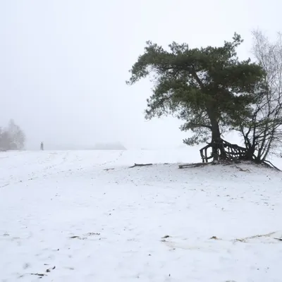 DSC 1185 kopi C3 ABren