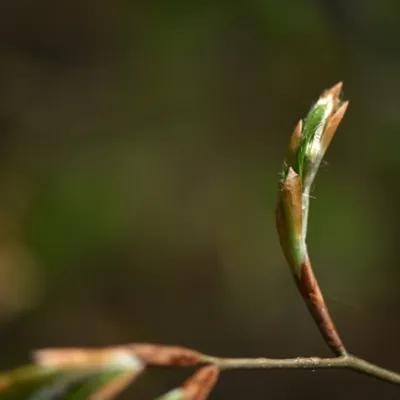 DSC 1255 ElyzeeseVelden Nijmegen 010