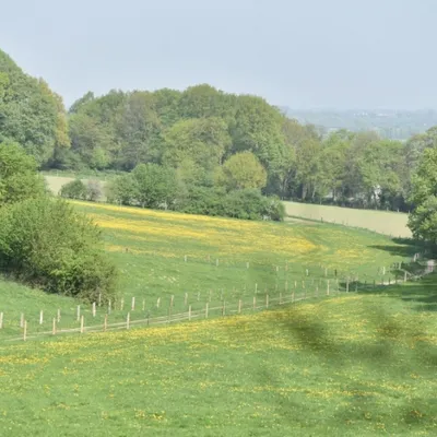 DSC 1265 ElyzeeseVelden Nijmegen 012