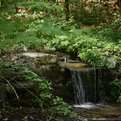 DSC 1277 ElyzeeseVelden Nijmegen 015
