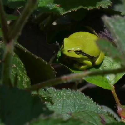 DSC 5364 kopi C3 ABren 2