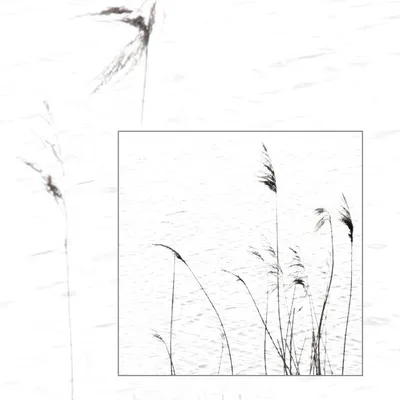 DSC 6023 kopi C3 ABren 2