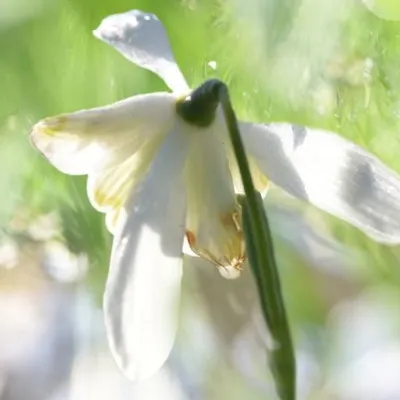 DSC 6040 kopi C3 ABren