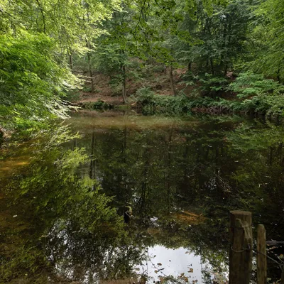 DSC 7182 gew01L02a crop