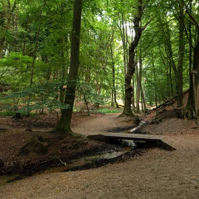 DSC 7187 gew01L02a crop