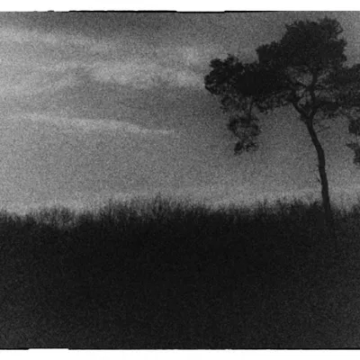 DSC 8572 kopi C3 ABren 4