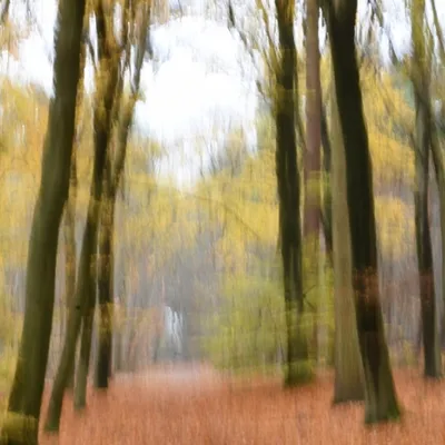 DSC 8716 kopi C3 ABren