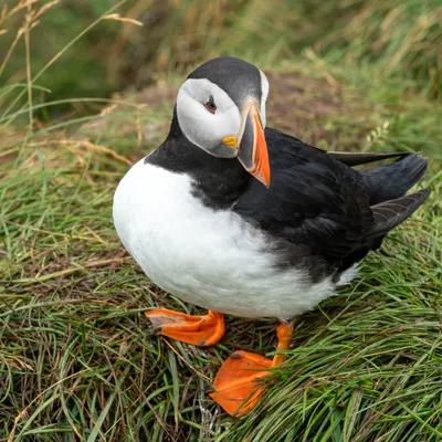 DSC01516 Verbeterd NR