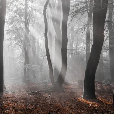 EC696A42 580D 40CC 8830 70164DF63687