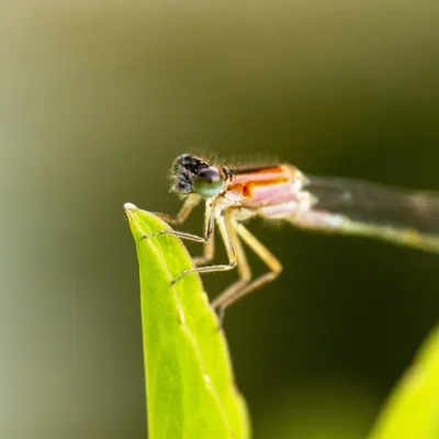 F00E9C08 97C7 43B0 978A 13C0E325ED59