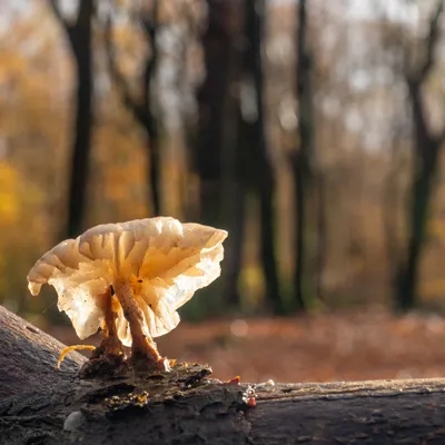 F156C76D D0DB 4B6A B7D4 C3B8D6591051