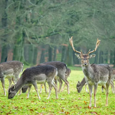 F628F0C7 9116 4E72 AADC 28039292E6E7