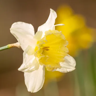 F90C7365 2EBD 4831 A570 A4B7CEB3217D