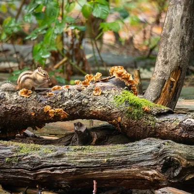 F92AECC2 1B3F 4BF8 B1D8 58F85FCB6BCF