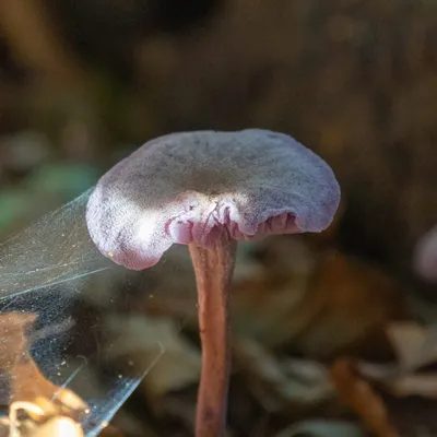 Ine 2023 10 18naamloos 35 scaled