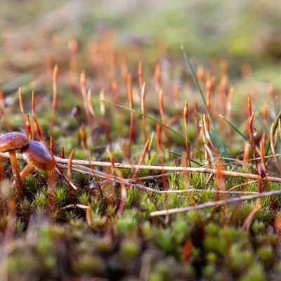 Ine 2024 02 25naamloos 108