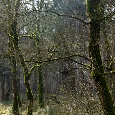 Ine 2024 02 25naamloos 17