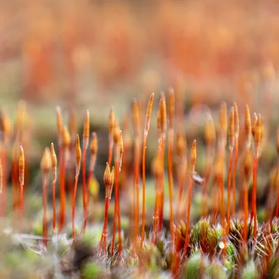 Ine 2024 02 25naamloos 26