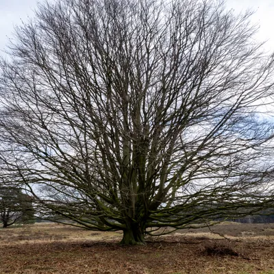 Ine 2024 02 25naamloos 45