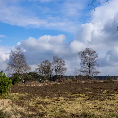 Ine 2024 02 25naamloos 5