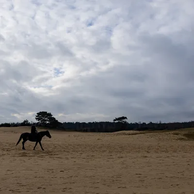 Ine 2024 02 25naamloos 64