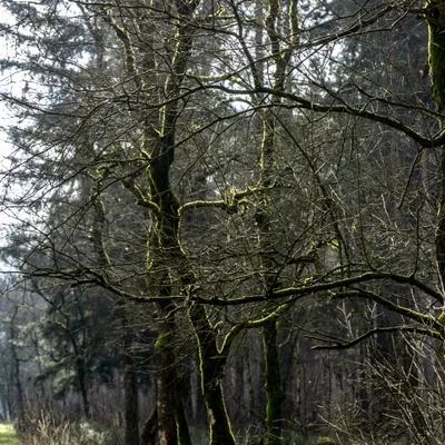 Ine 2024 02 25naamloos 73