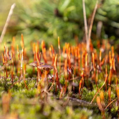 Ine 2024 02 25naamloos 76